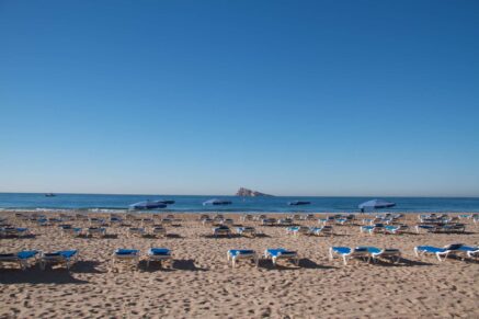 Contactar con La Cava Aragonesa